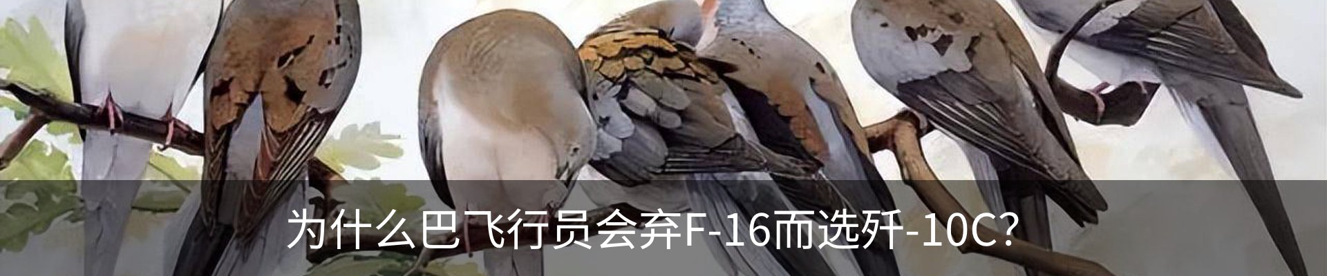 内页banner